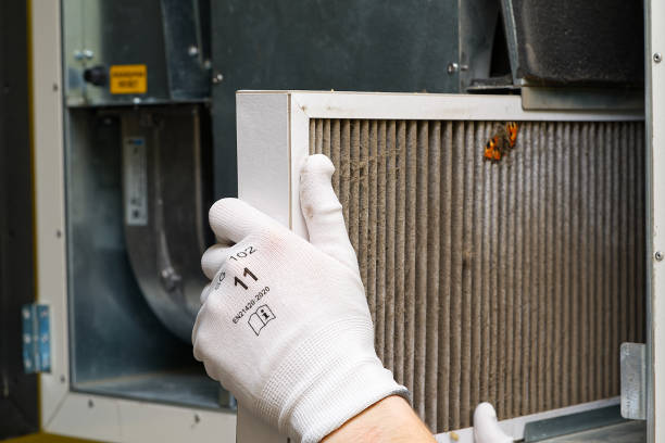 Air Duct Mold Removal in Key Biscayne, FL