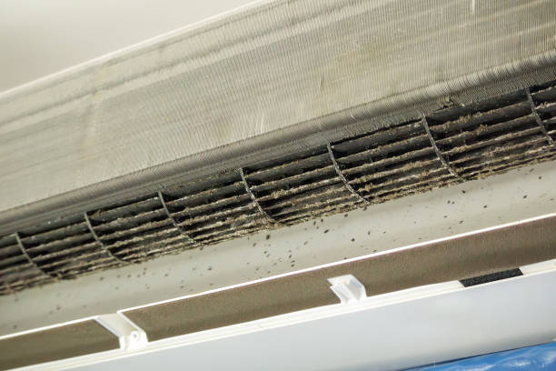 Home Air Vent Cleaning in Key Biscayne, FL